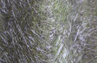 Penhill fibreglass roof work